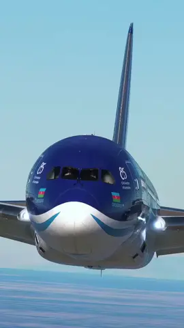 #airbijaksistemimun #air 