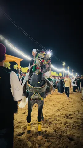 #محمد_الدليمي #خيل_وخياله🐎 #بنغازي_ليبيا🇱🇾 #ليبيا🇱🇾 #الرقم_الصعب🔥👑 
