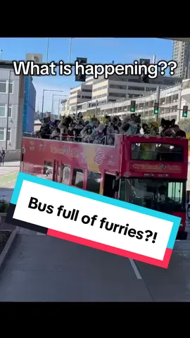 Just a casual Saturday in Seattle 🐾 Come join us for the next @/FurtiveEvents in Seattle, follow on Twitter 🔥#furry #furrytiktok #fursuiting #fursuit #seattle 