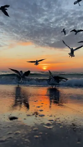#🌊🌊 #рассвет #море #одессаморе #sunriseview 