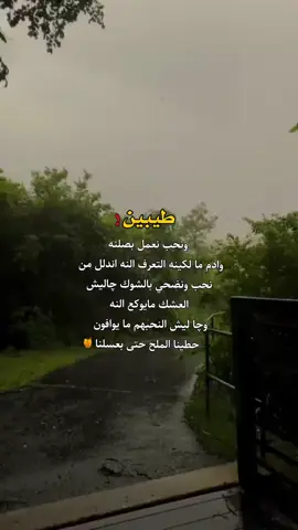 طيبين ونحب نعمل بصلنه 🥺🌸 #حسابي👈vjflv  #🌸vjflv🌸  #🐦vjflv🐦  #🦋vjflv🦋  #🍯vjflv🍯