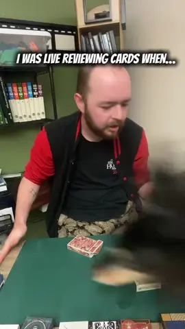 Rosie #dog #saluki #alaska #cardreview #magic #magician