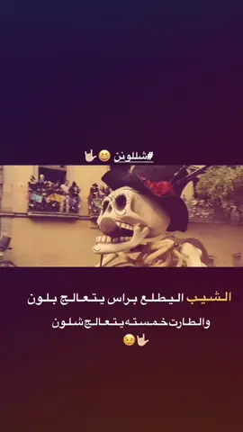 #شلون #😂 