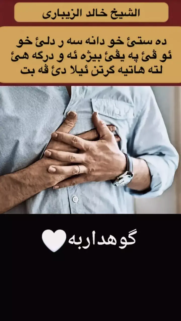 #گوهداربـــــــــــــە😇 #foryourpage #fouryou #fypシ゚ #fyppppppppppppppppppppppp 