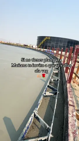 Con cariño raza #concretework #cementeroloco🇲🇽 #cementerosperros #cementerooo #durango 