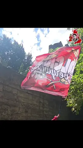 #ultras #tiktok #crb #maroco🇲🇦algeria🇩🇿tunisia🇹🇳 #algeria 