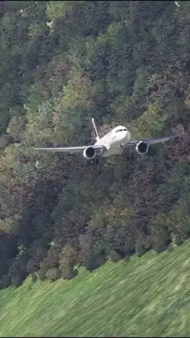 #latamairlinesbrasil 