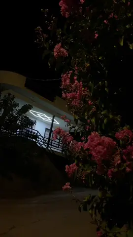 Bê Te Naba..🖤#hozandino #fyp #night #foryoupage 