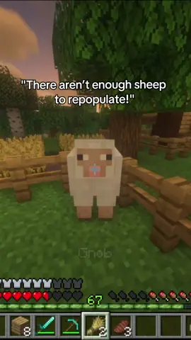 Poor sheep #Minecraft #minecraftmemes #mc 