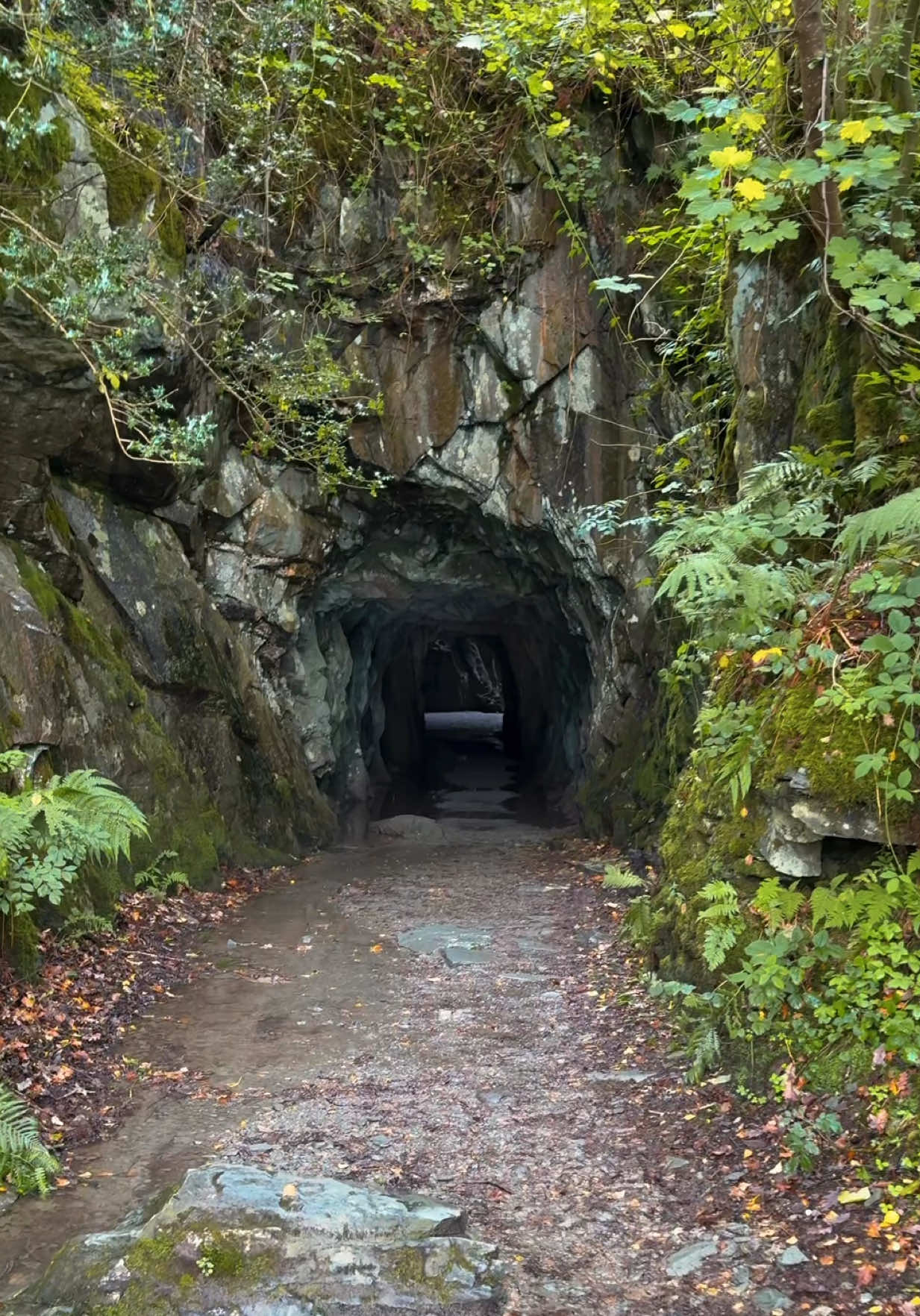 Wait until you see this cave in the Lake District 🤯 📍Cathedral Cave, Little Langdale 