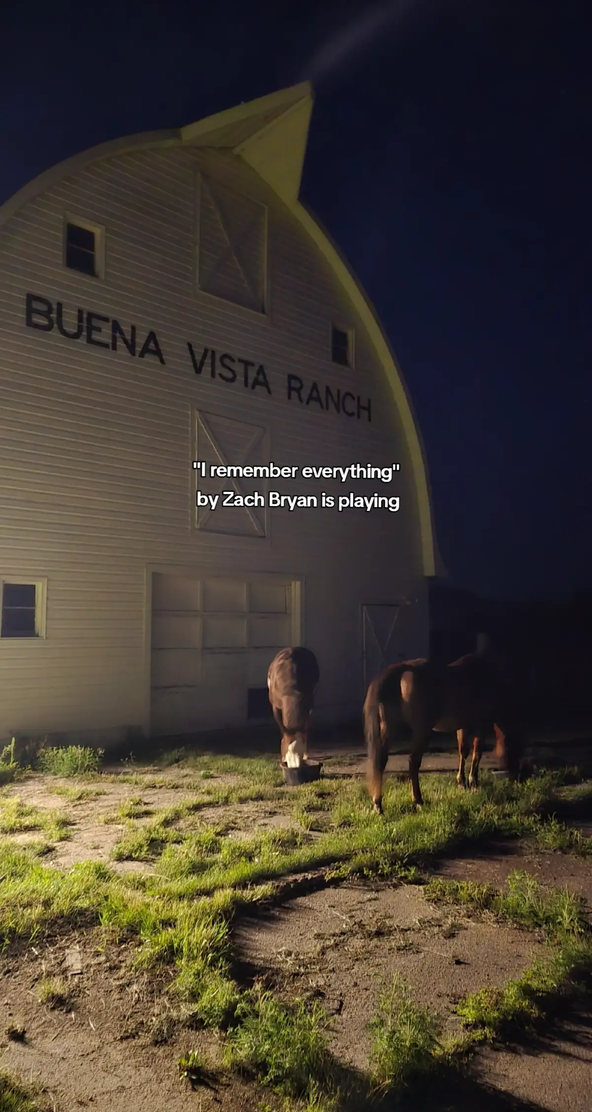 Best song to ever be written.