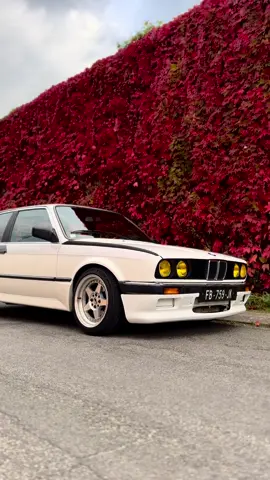 😎 E30 KAMEI 🤩