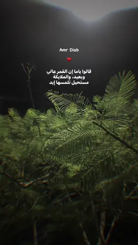 😍 #ahmeedashraf120 #fyyyyyyyyyyyyyyyyyyy #fyyyyyyyyyyyyyyyy #فيديوهات_احمد_اشرف #عمرو_دياب 