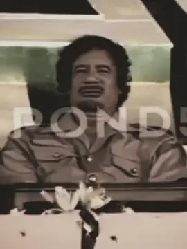 #معمرالقذافي 💚💚 #الجمهيرية_العربية_الليبية_العظمى #ليبيا_طرابلس_مصر_تونس_المغرب_الخليج #عميد🦅 