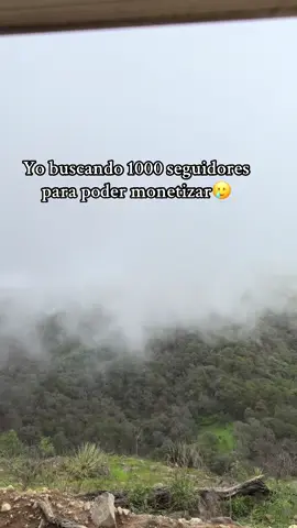 #Viral #monetizar #seguidores  