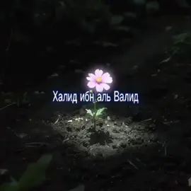 Шейх Халид Рашид - Халид инб Уалид и подобные ему. Молодежь, которая идет к высоким целям!#islam #islamic_video #reccomendation #fyp #viral 