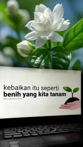 #abahkoeradio #radiotiktok #catlover #fyppppppppppppppppppppp #CapCut 