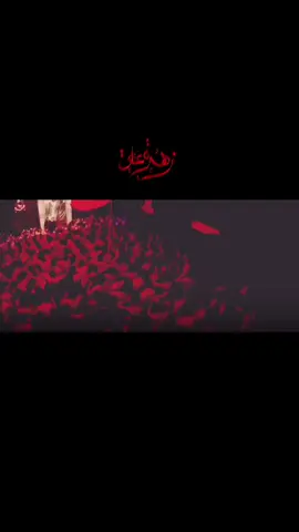 ما كفاهم منع دمع عيونها 💔. #سيد_سلام_الحسيني #vira #احمد_علي #فاطمة_الزهراء #viralvi 