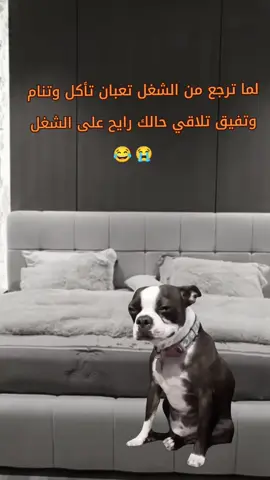 #صارت 😭💔#اكسبلور #الشعب_الصيني_ماله_حل😂😂 #جبراتت📮 #fpy 