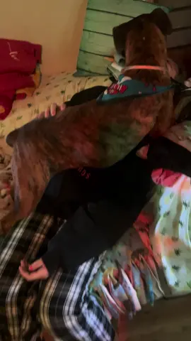 #kisses #puppy #relatable 