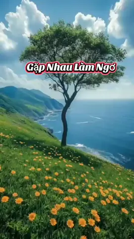 #Gặp nhau làm ngơ. #canhđepthiennhien 