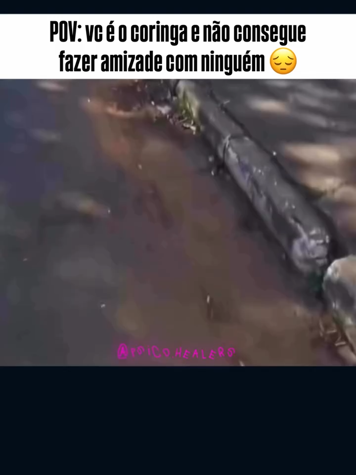 #kkkkkkkkkkkkkkk #shitpostbrasil #memesbrasil #viralvideos #zueiraehumor #humornegro #memesbr #memetiktok #foryoupage