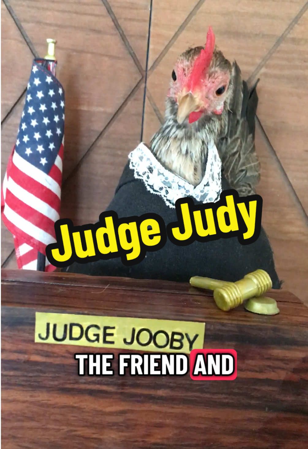 Judge Jooby #judgejudy #courtroom #judgejooby #serama #fyp 