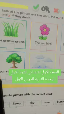 الصف الاول الابتدائي 