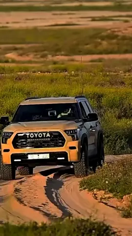 المال يشري كلش الي صحه ورجال... 