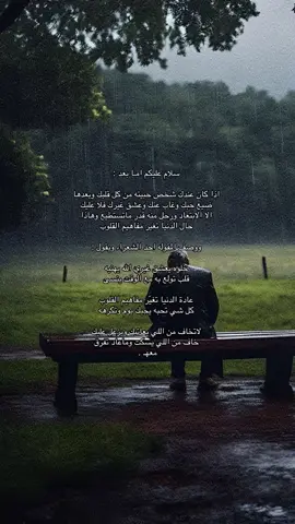 #نجران_الآن 