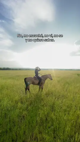 Cualquier cosa no me importa 🐴🌾 #fyp #caballos #Viral #naturaleza #paratiiiiiiiiiiiiiiiiiiiiiiiiiiiiiiiiii 