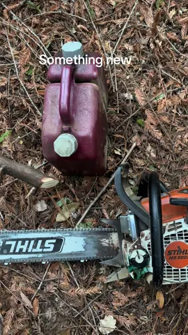 #treekillr #stihlsaw #skullbuckethats #loggingislife 