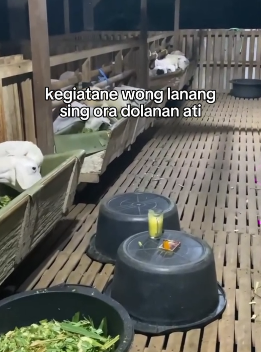 sng ra kebagian adegan romantis #blitar24jam #fyp #4upage #viral #masukberanda 