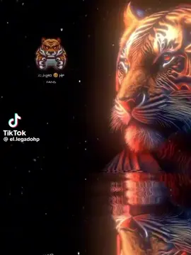 #tiguerones🐯🔥 #togresdelnorte 