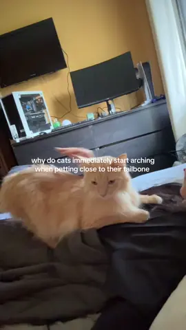 it’s caused they’re freaked tf out that’s why 