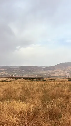 ينايي طالب اجنون 😂🫱🏻‍🫲🏼