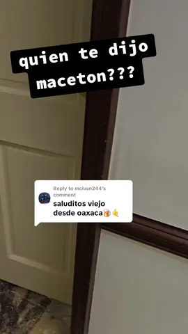 Replying to @mcivan244  porque eres tan maceton viejo.. #fyp #work #drywall #construction #parati @12sito Social Merch @Magdiel 