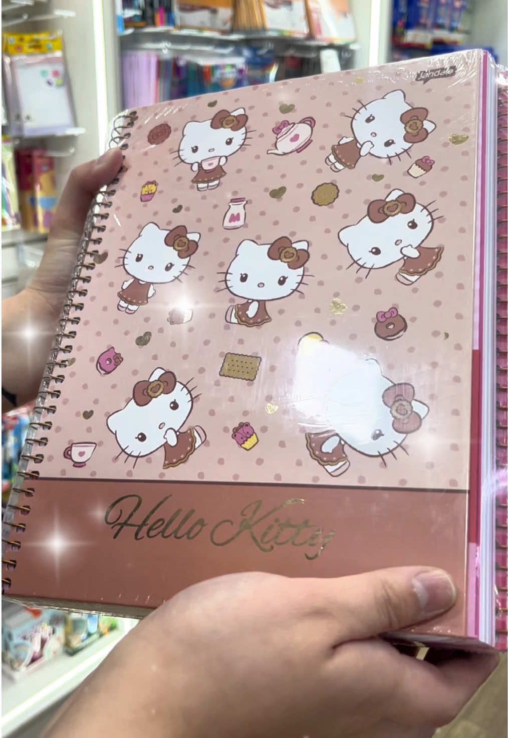 🎀 E a Hello Kitty chegou por aqui também 😍 Com 4 novas capas de caderno de 10 matérias 💕 Peça pelo WhatsApp: 📲 1197756-4191 🖥️ Compre pelo nosso site: www.bazarpaulinho.com.br @Cadernos Jandaia  #papelaria #hellokitty #sanrio #voltaasaulas #materialescolar 
