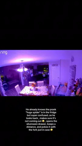 #momwin #prank #prankster #spider #kidsoftiktok 