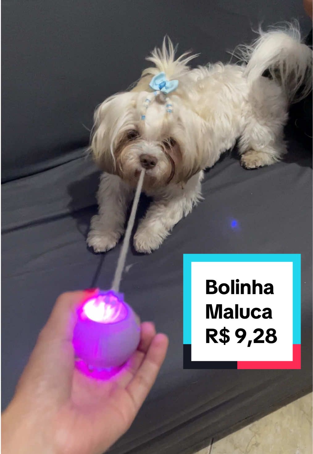 Aproveitem a promoção relâmpago! R$ 9,28 apenas! Paguei R$ 23,00 na minha! 🐶🐾🖤 - #cachorro #cachorros #gato #gatos #cachorrosdotiktok  @Duque The Dog 🐶🐾 