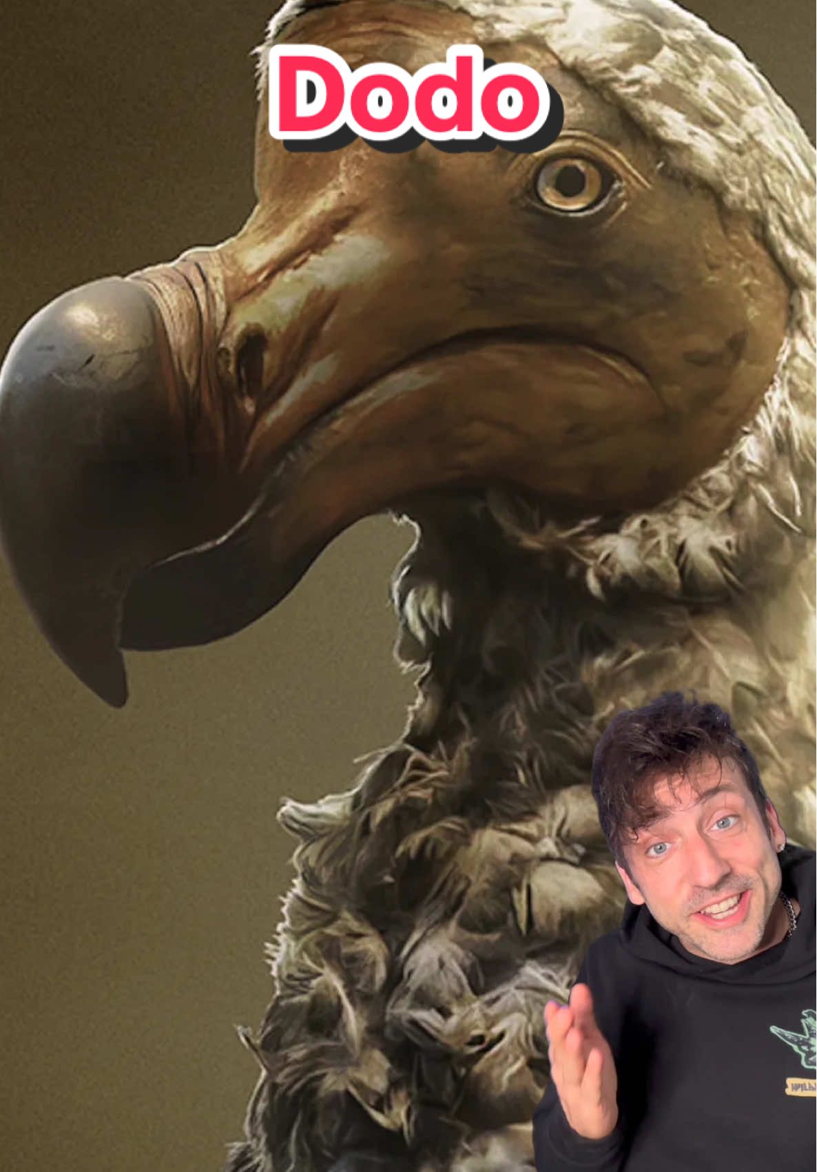 Here’s how @colossal plans to bring back the extinct Dodo 