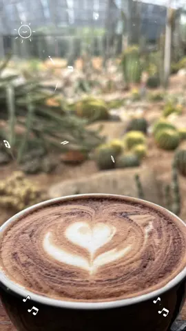 Good morning #goodmorning  #goodvibes  #coffee #cafe 