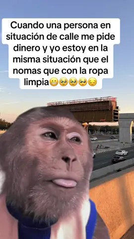 #memeviraltiktok🥹