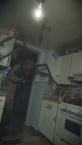 You left the kitchen light on… it attracted more than moths.  #H#HorrorTokCreepy #N#NightmareFuelFoundFootage #horror 