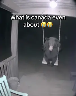 #canada #funny #memes 