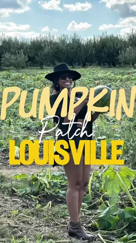 Definitivamente tienes que conocer este Pumpkin Patch, a sólo una hora de Louisville y si te quedas hasta la noche, puedes disfrutar de espacios que puedes rentar y hacer fogata #louisville #louisvillekentucky #pumpkinpatch #fallvibes #PlacesToVisit 