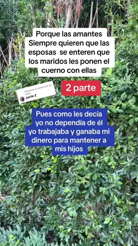 Respuesta a @chata #foryou #argorismodetiktok #influencer #infieles #casosdelavidareal 