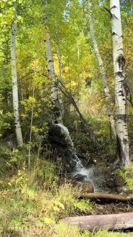 #bendecido dia#bombonas #Humor #cocinatiarosy #Viral 