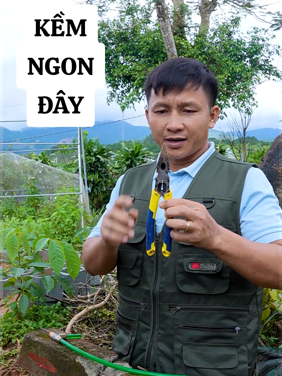 cây kềm điện mỏ nhọn ngon cho gia đình đây. #binhdiennang1 #kimdien #kimmuinhon #kingblue #kimdiendanang 