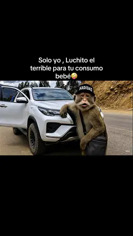 #comediahumor #luchitotuterror #tendencia #humortiktok #chofercitocarretero🚛🛣💯🤙 